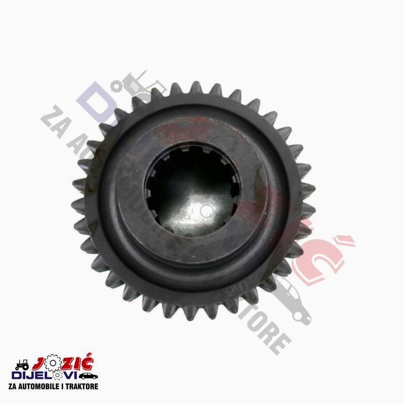 Daisy on the Ohoopee