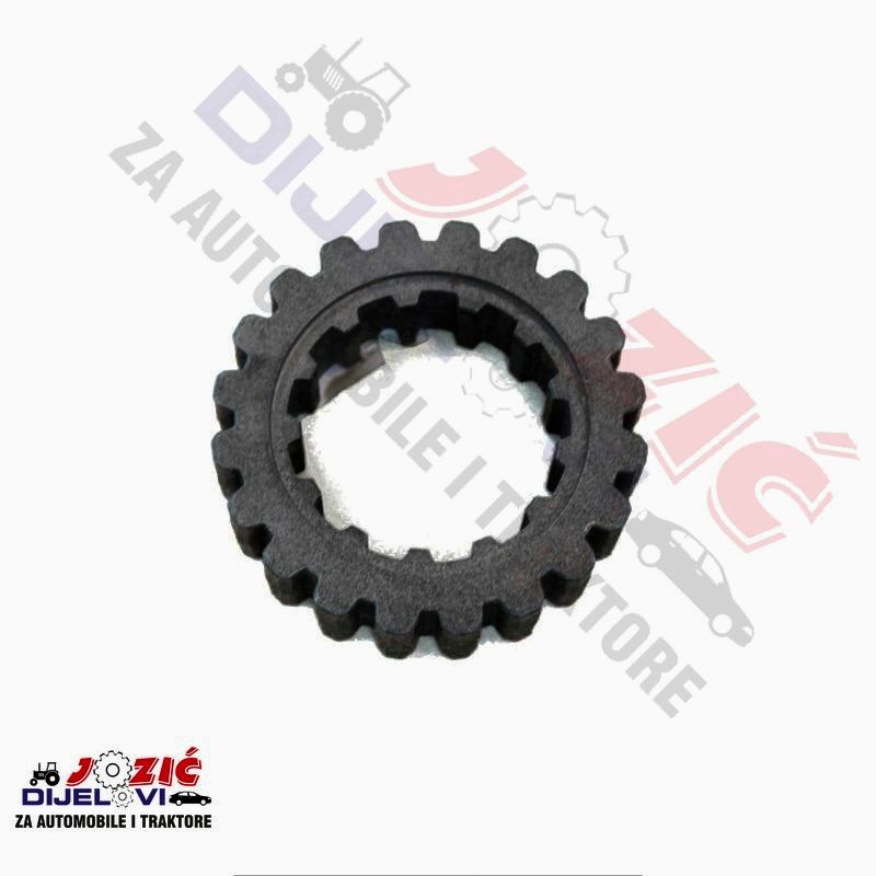 Daisy on the Ohoopee