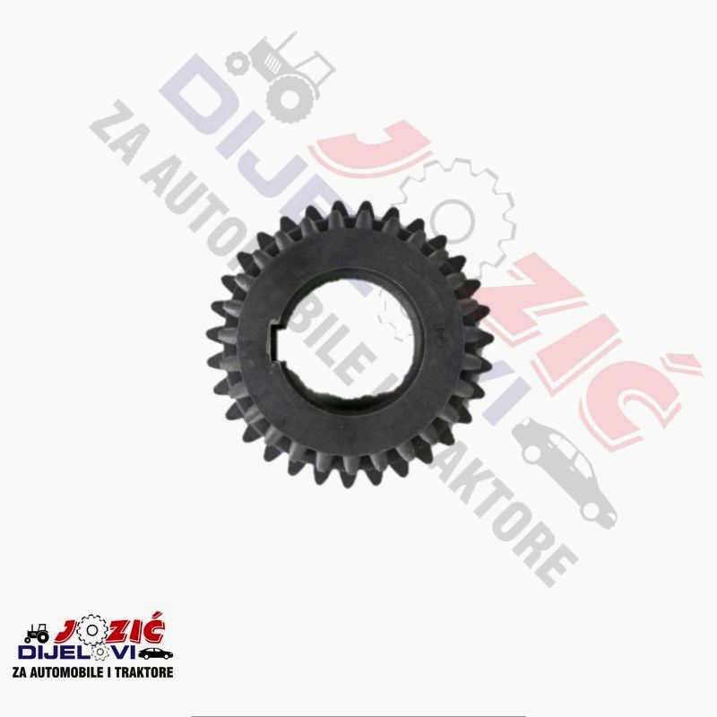 Daisy on the Ohoopee