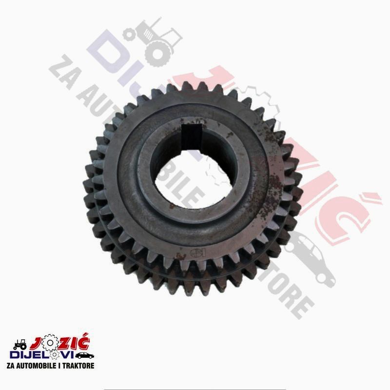 Daisy on the Ohoopee