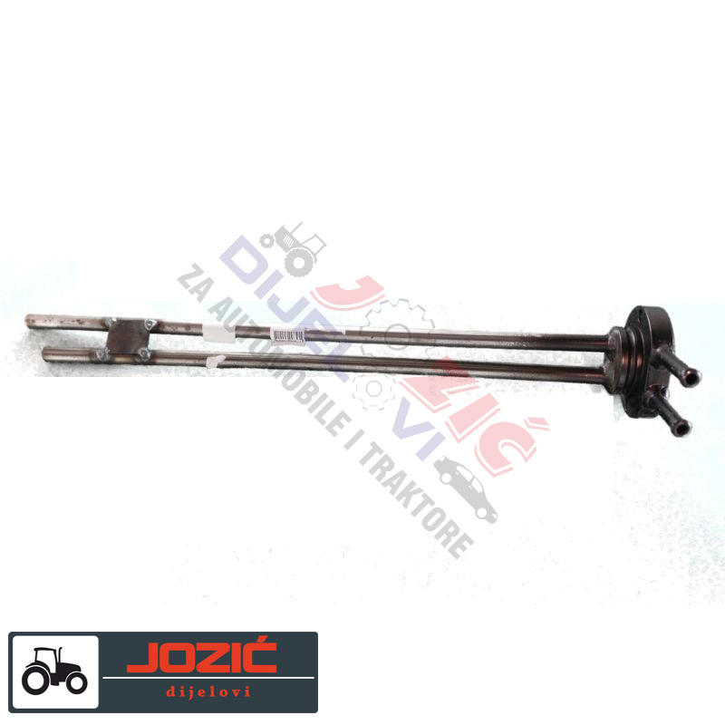 Daisy on the Ohoopee