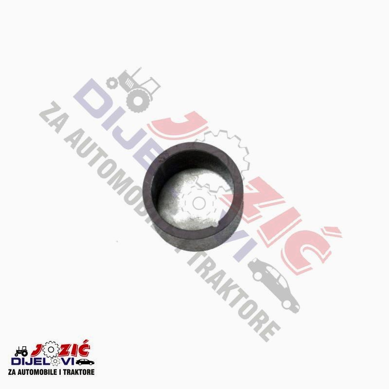 Daisy on the Ohoopee