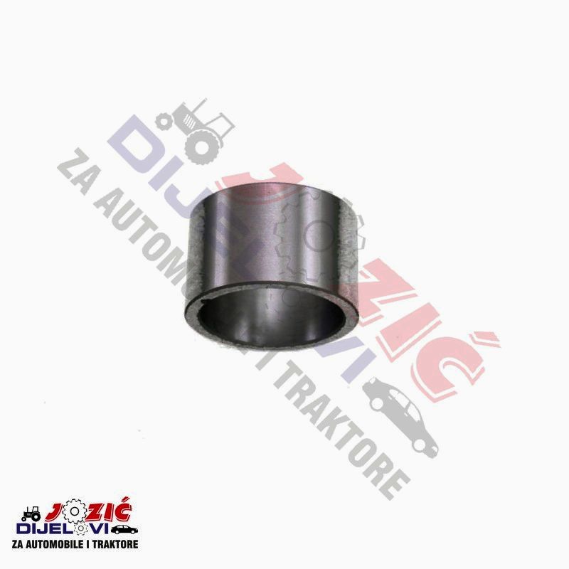 Daisy on the Ohoopee