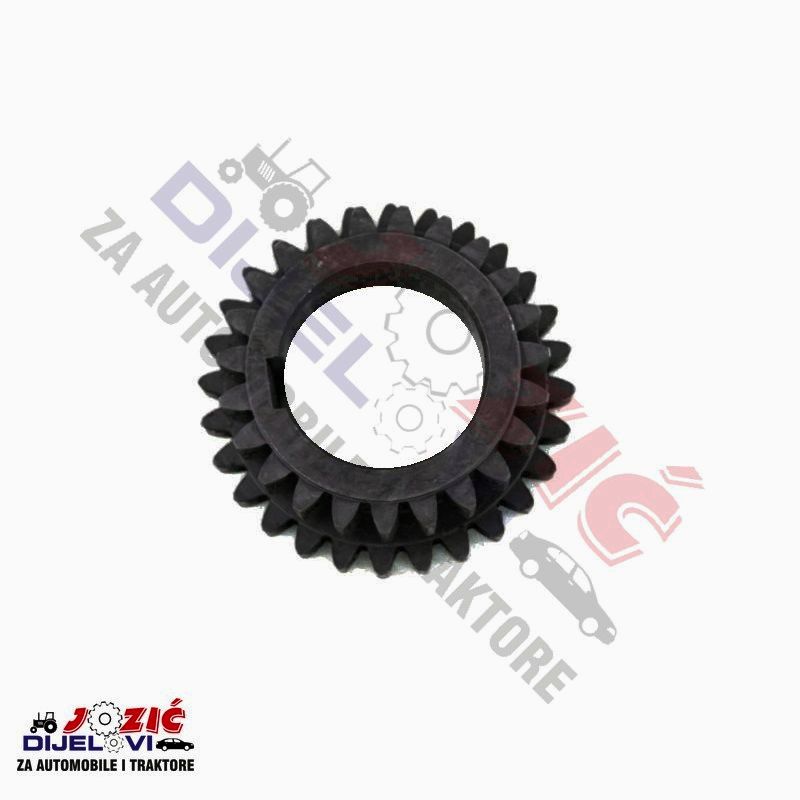 Daisy on the Ohoopee