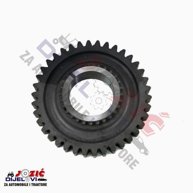 Daisy on the Ohoopee