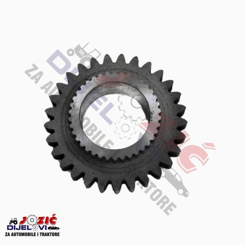 Daisy on the Ohoopee