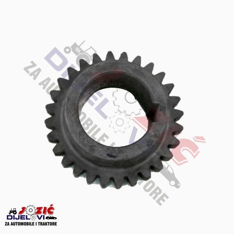 Daisy on the Ohoopee