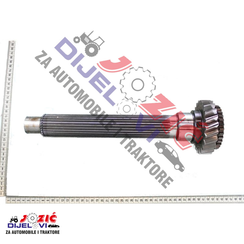 Daisy on the Ohoopee