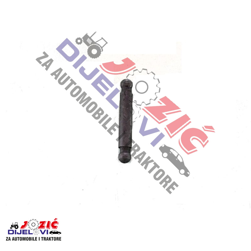 Daisy on the Ohoopee