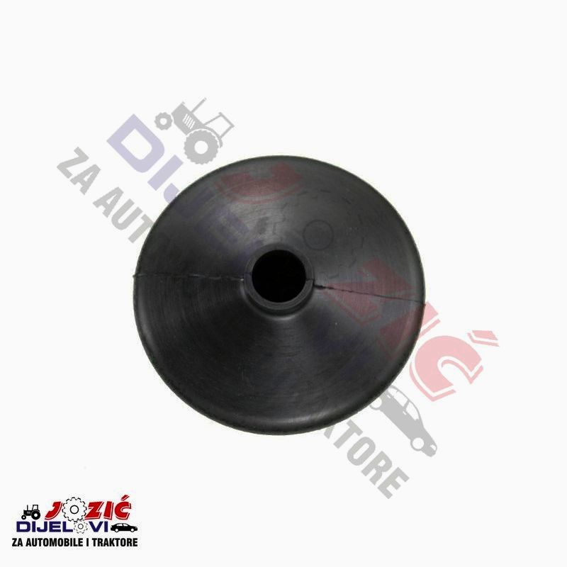 Daisy on the Ohoopee