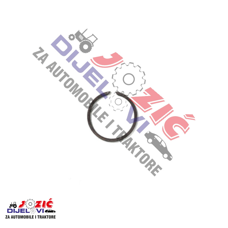 Daisy on the Ohoopee