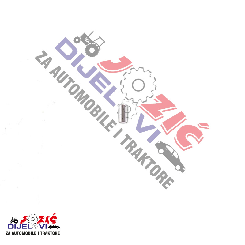 Daisy on the Ohoopee