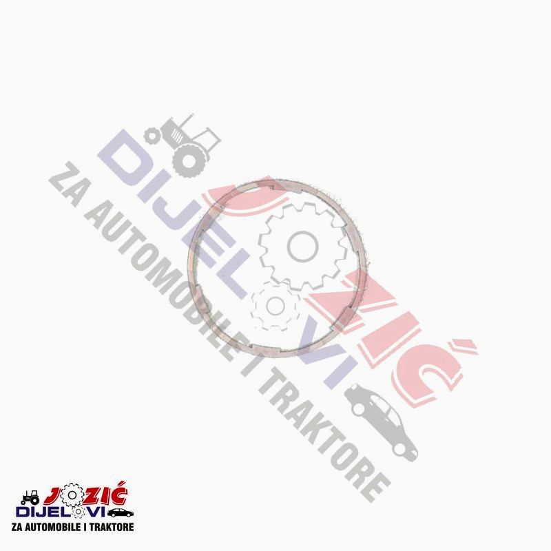 Daisy on the Ohoopee