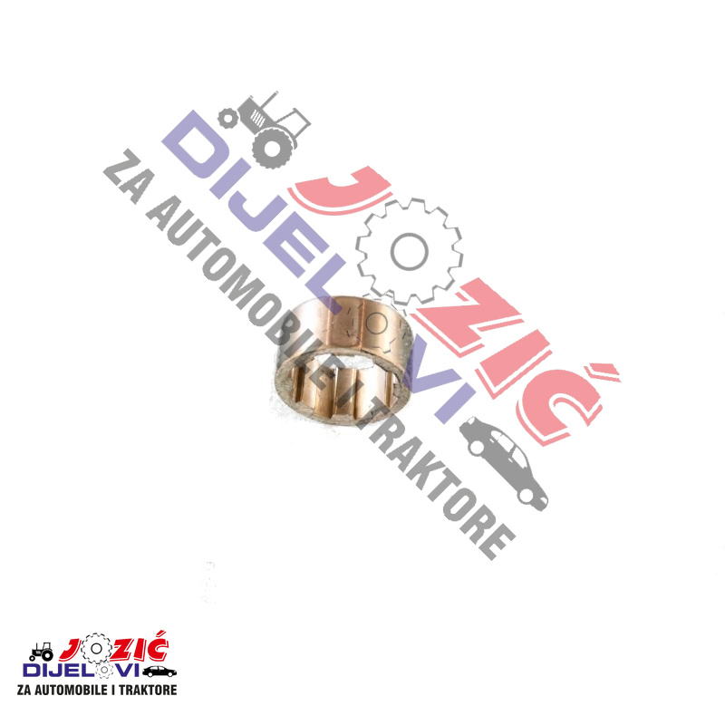 Daisy on the Ohoopee