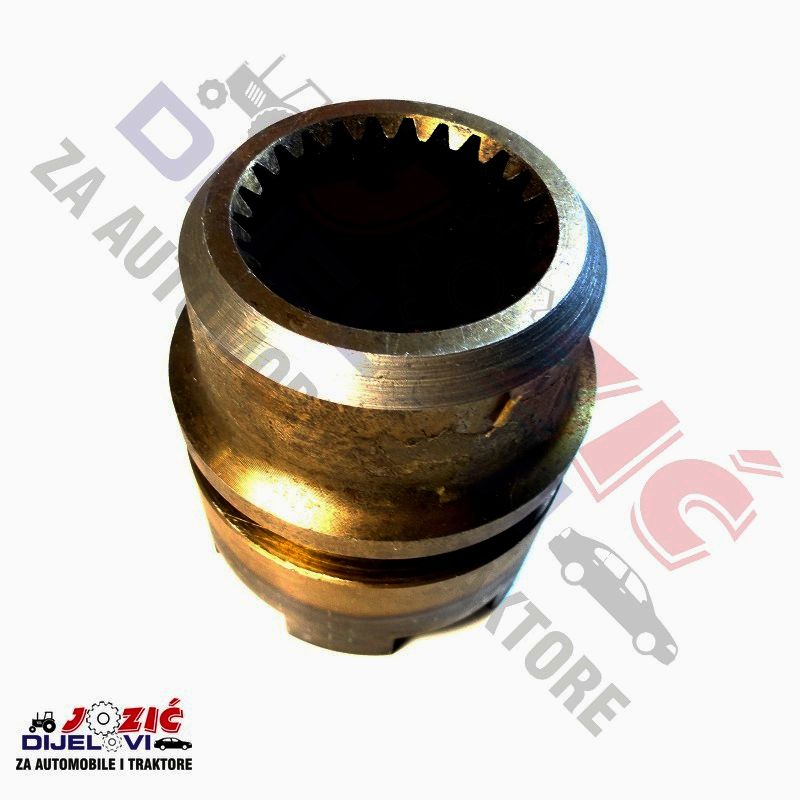 Daisy on the Ohoopee