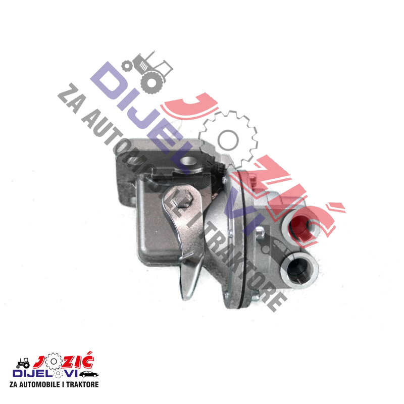 Daisy on the Ohoopee