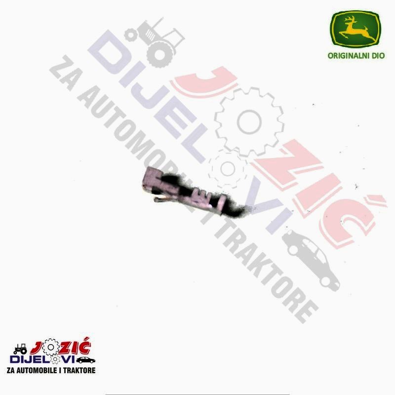 Daisy on the Ohoopee