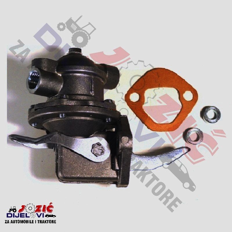 Daisy on the Ohoopee