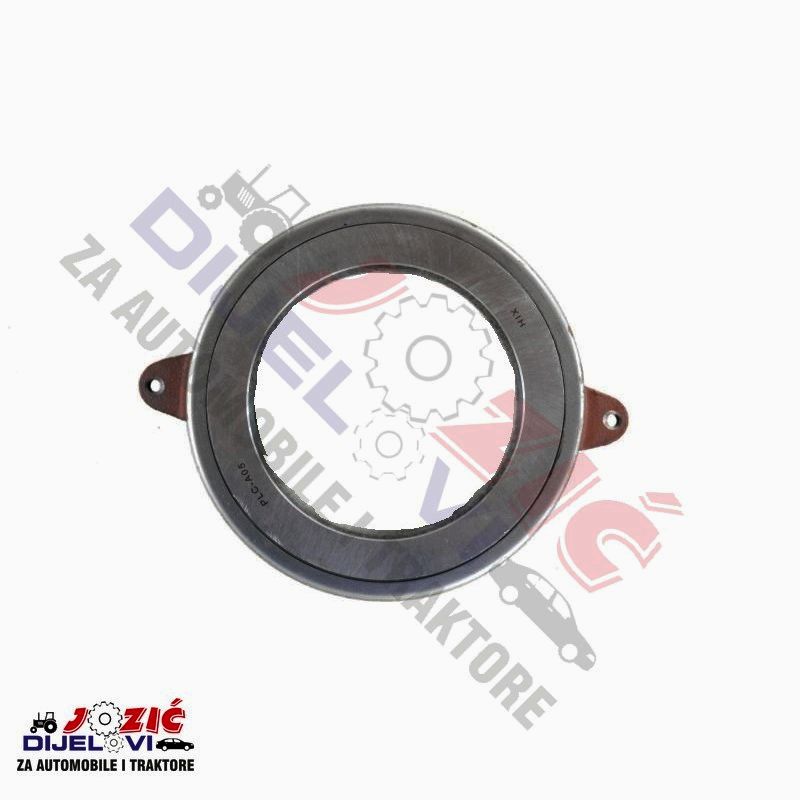 Daisy on the Ohoopee