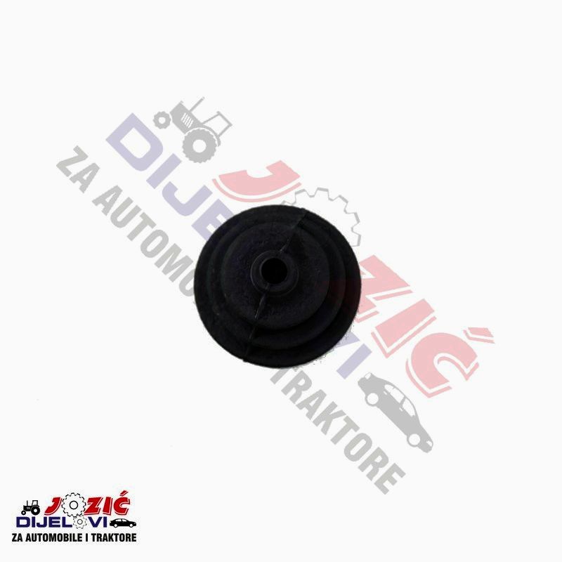 Daisy on the Ohoopee