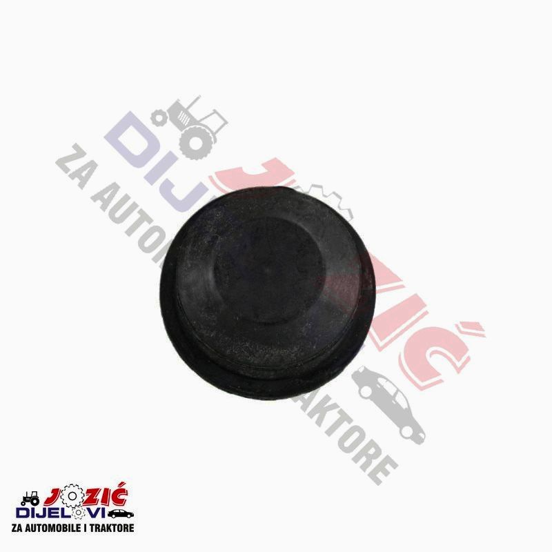 Daisy on the Ohoopee