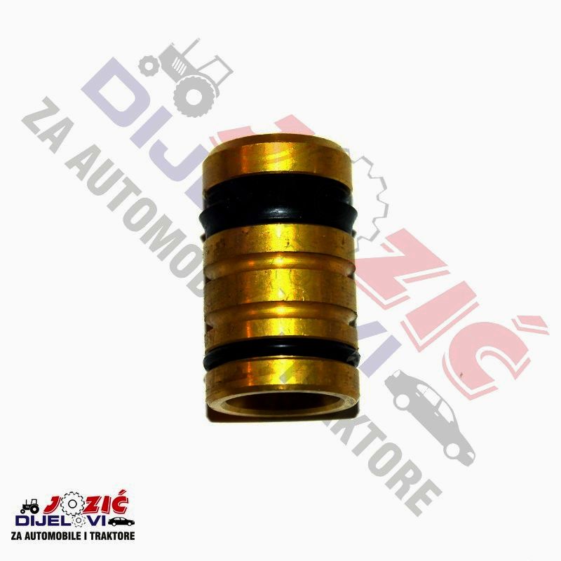 Daisy on the Ohoopee