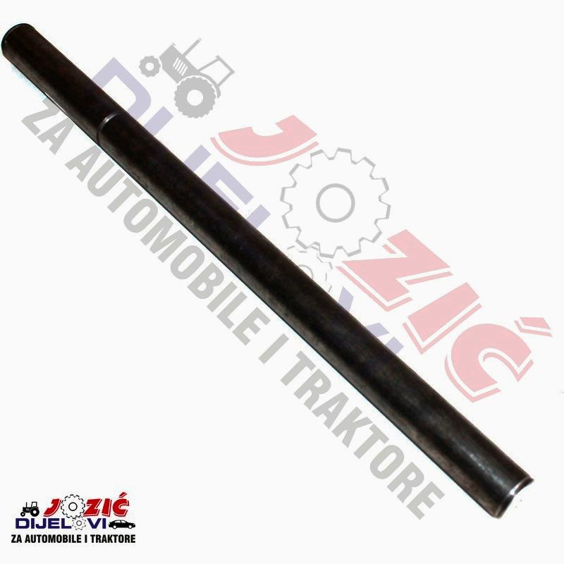 Daisy on the Ohoopee