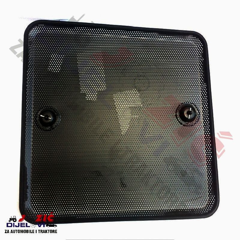 Daisy on the Ohoopee