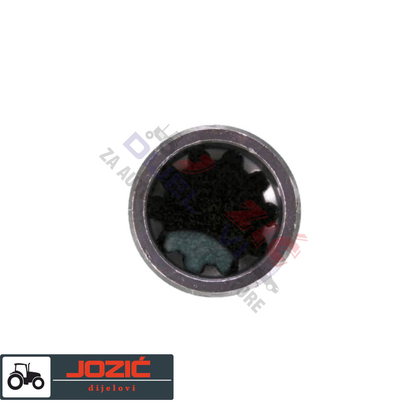 Daisy on the Ohoopee