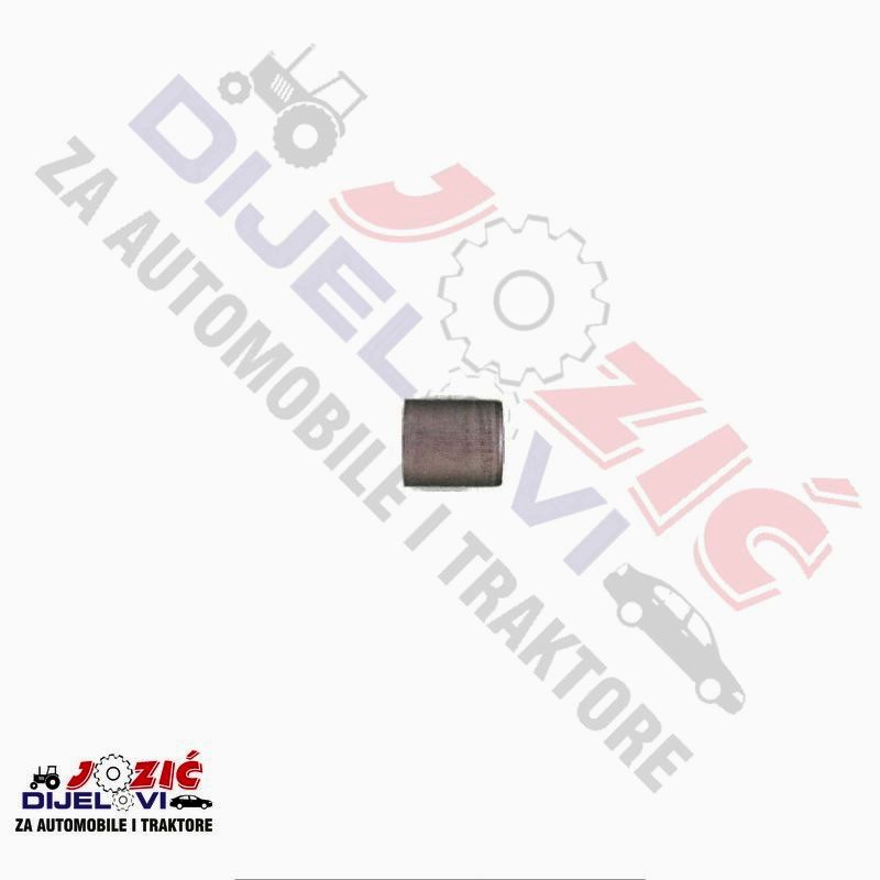 Daisy on the Ohoopee