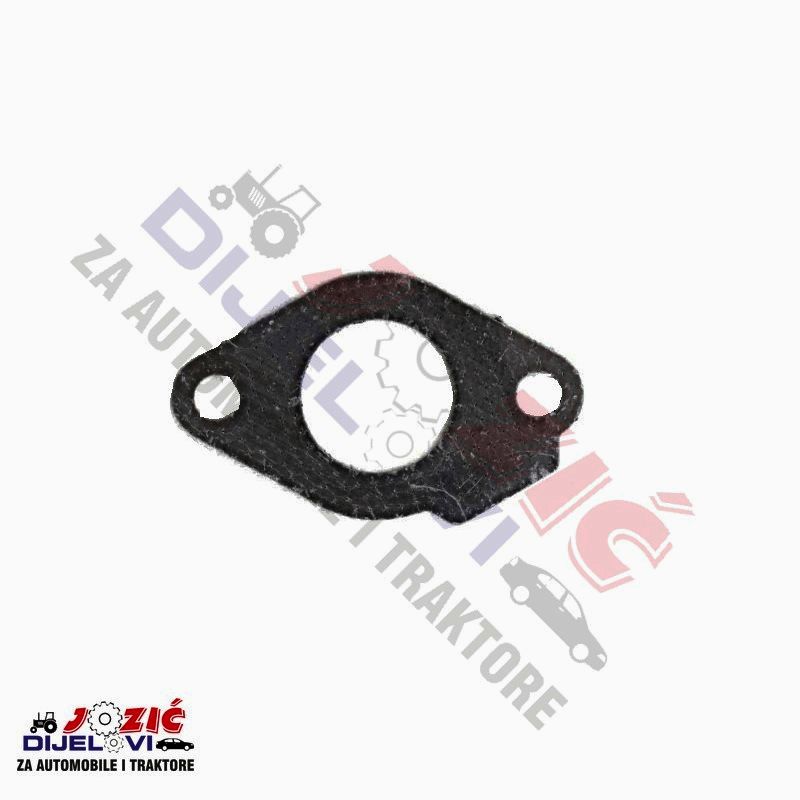 Daisy on the Ohoopee