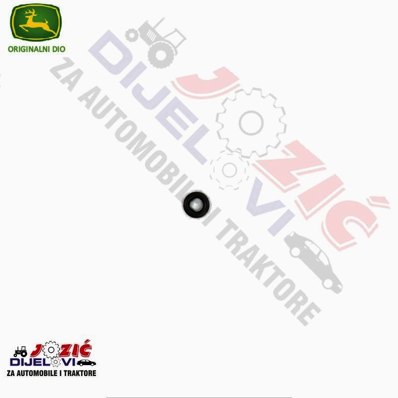 Daisy on the Ohoopee