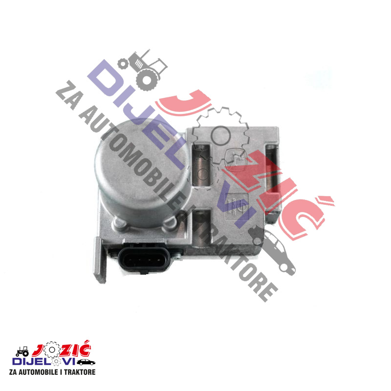 Daisy on the Ohoopee