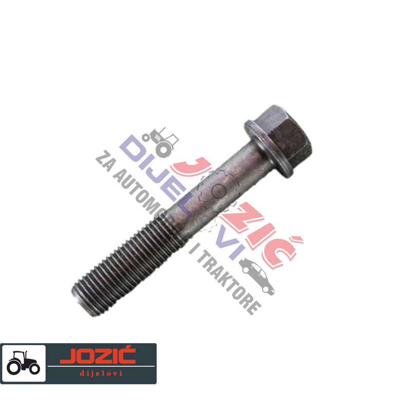 Daisy on the Ohoopee