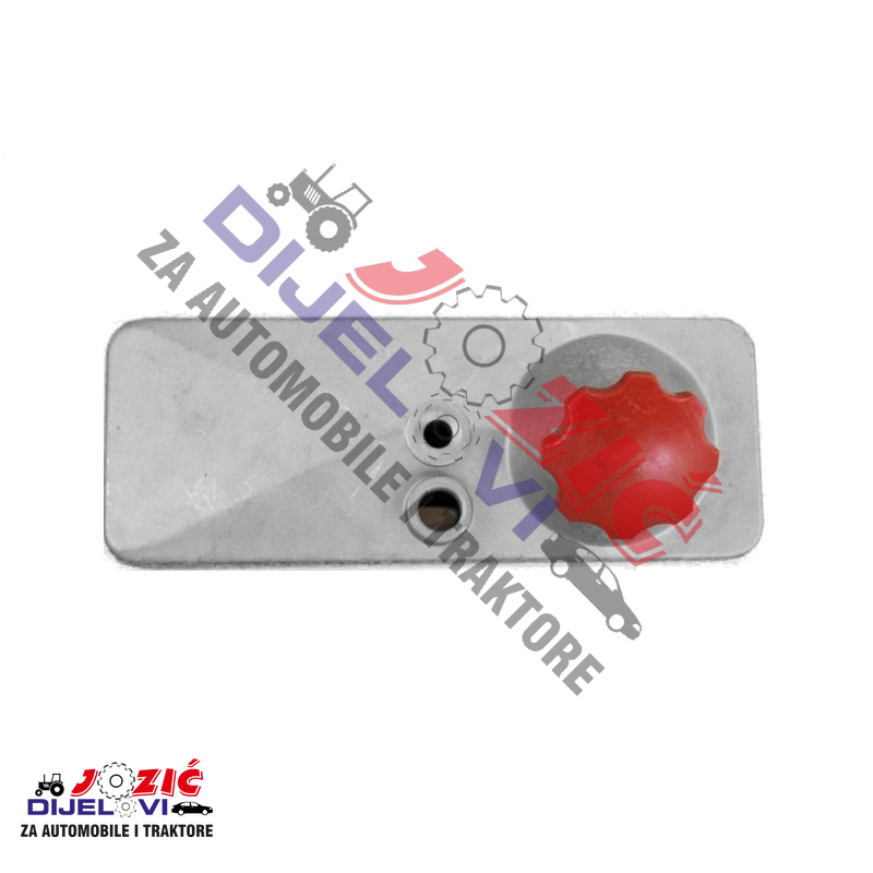 Daisy on the Ohoopee