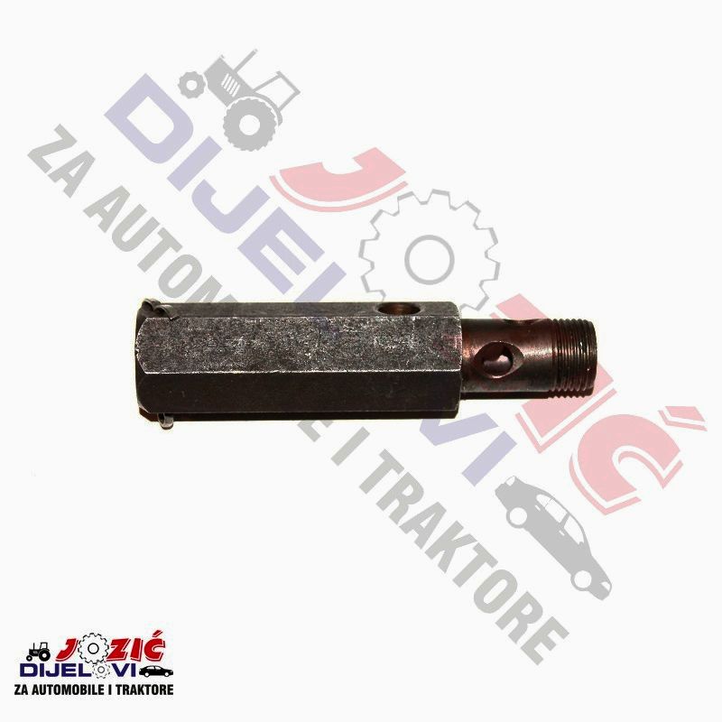 Daisy on the Ohoopee