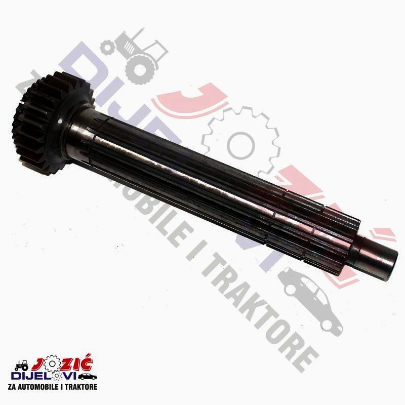 Daisy on the Ohoopee