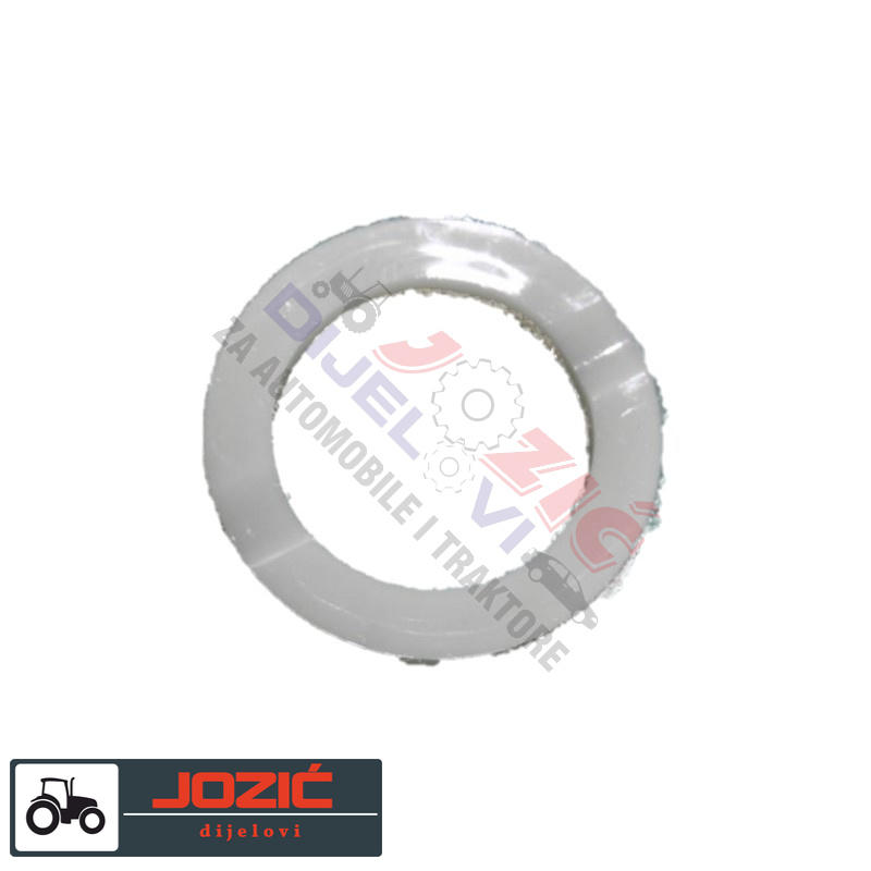 Daisy on the Ohoopee