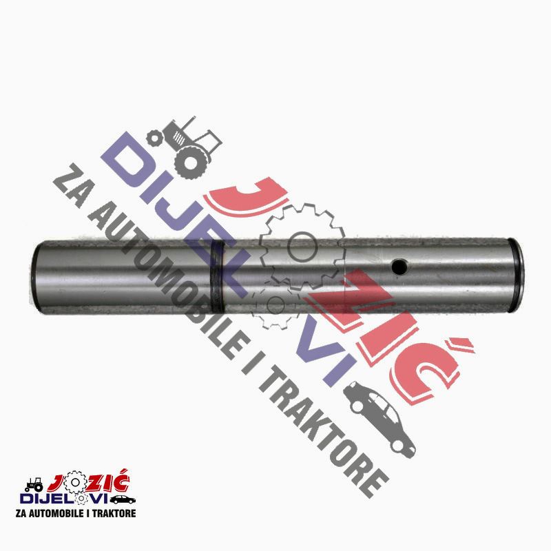 Daisy on the Ohoopee