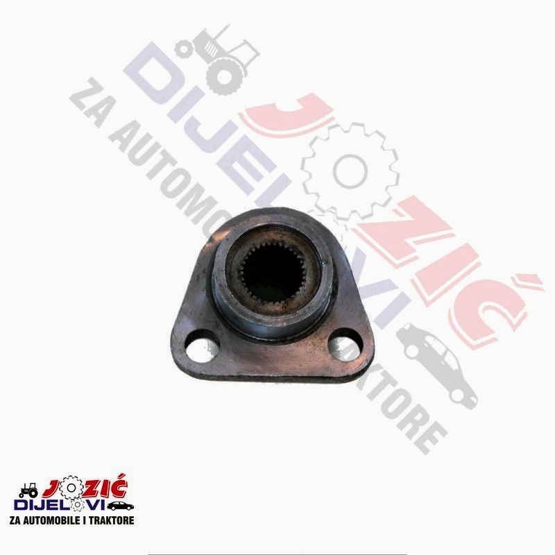 Daisy on the Ohoopee