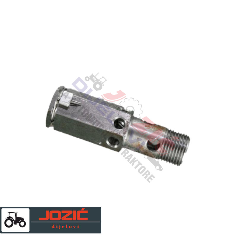 Daisy on the Ohoopee