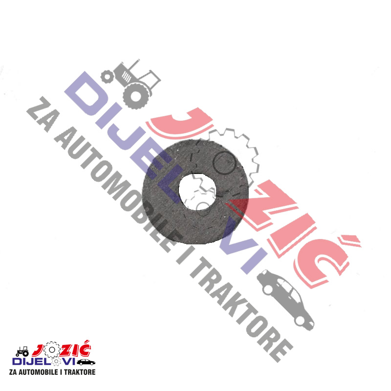 Daisy on the Ohoopee