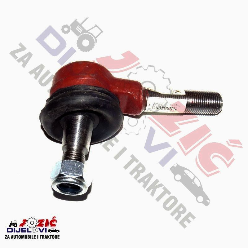 Daisy on the Ohoopee