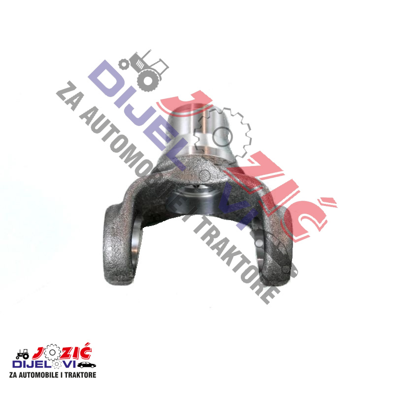 Daisy on the Ohoopee