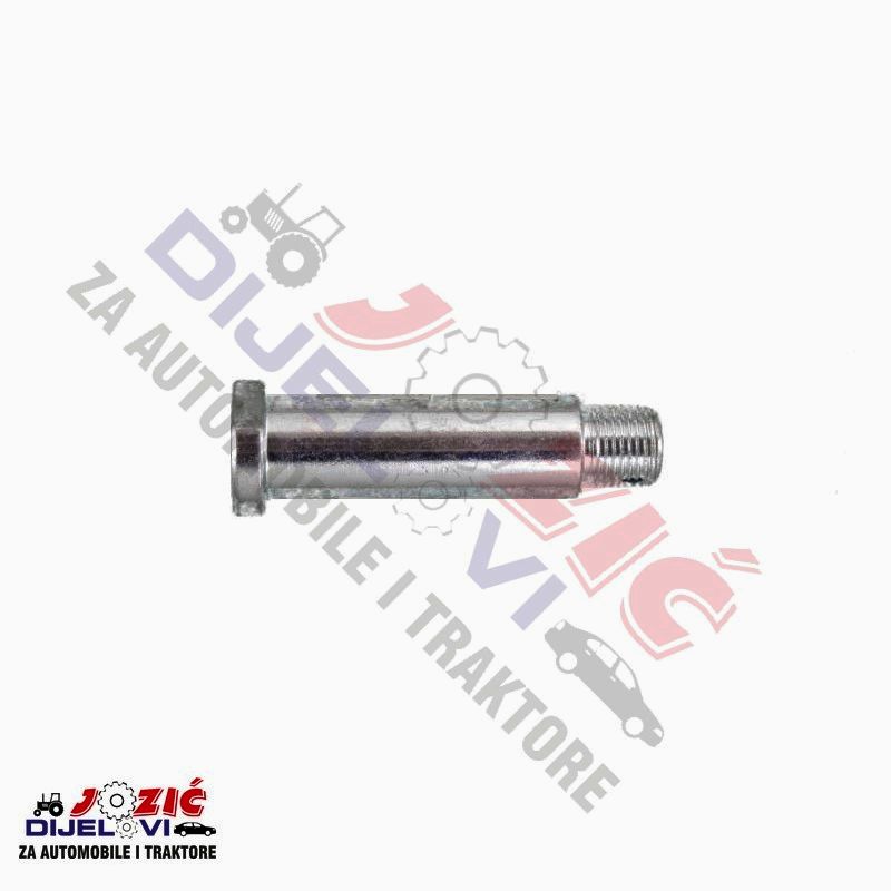 Daisy on the Ohoopee