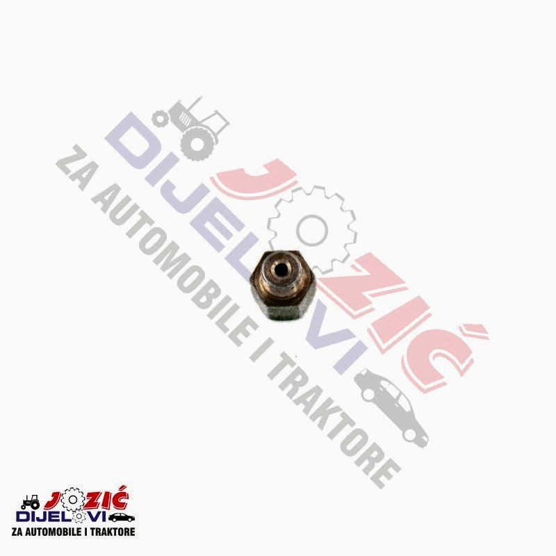 Daisy on the Ohoopee