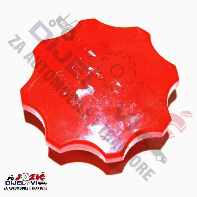 Daisy on the Ohoopee