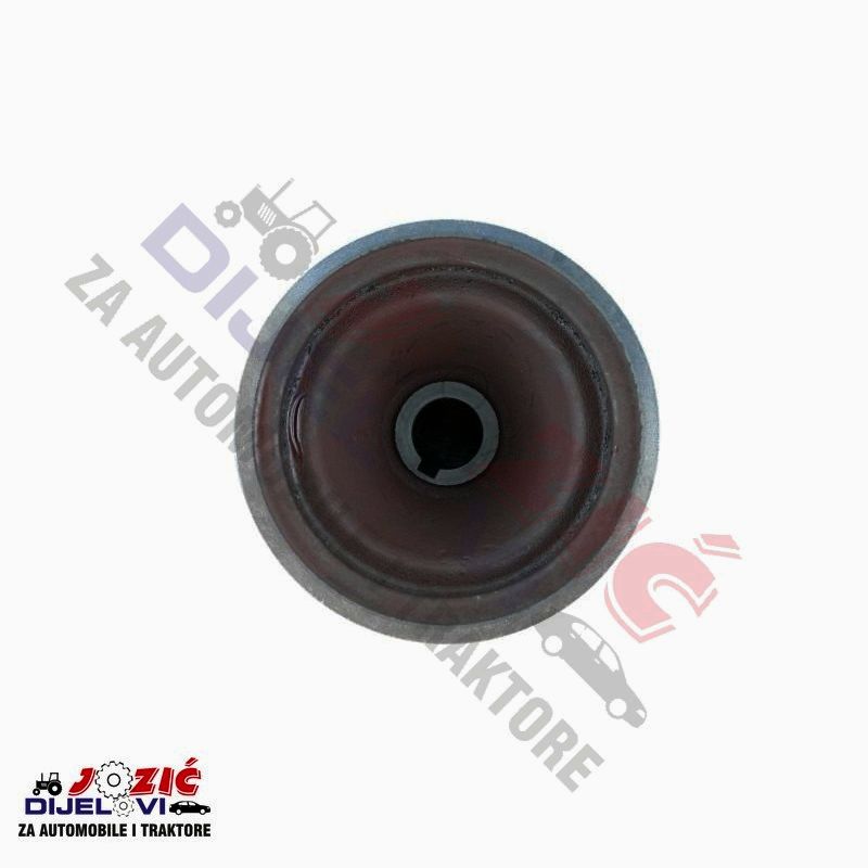 Daisy on the Ohoopee