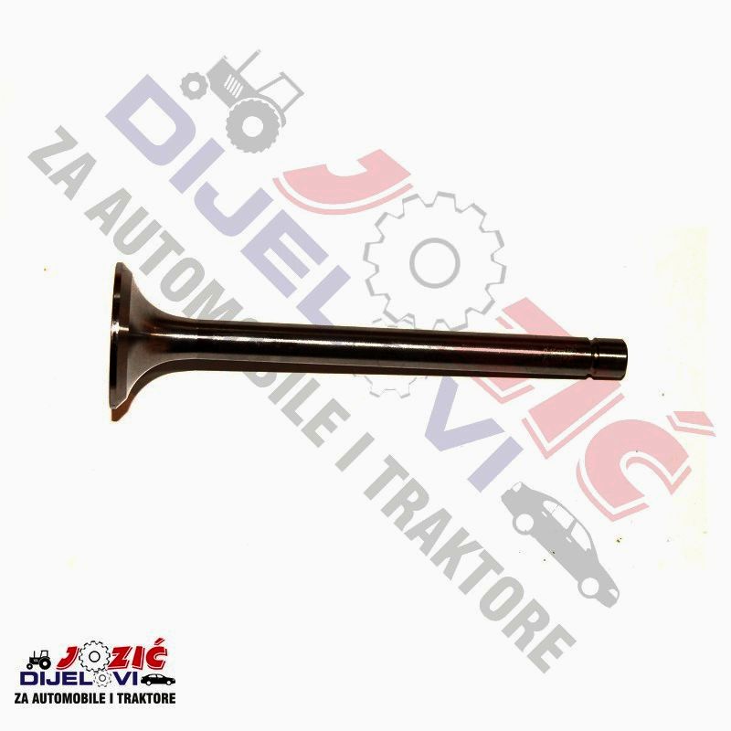 Daisy on the Ohoopee