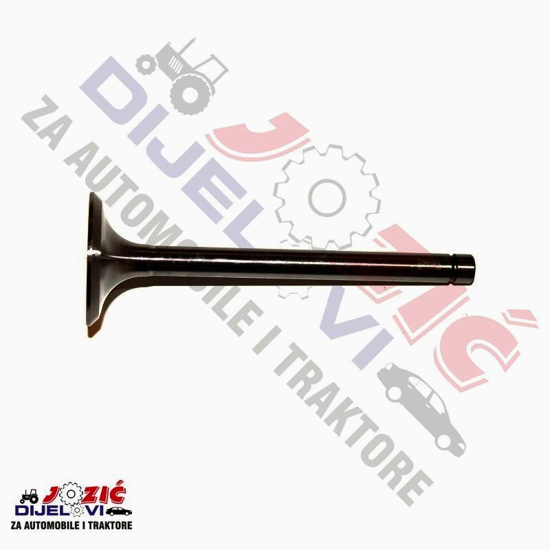 Daisy on the Ohoopee